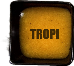 Salsa Tropi